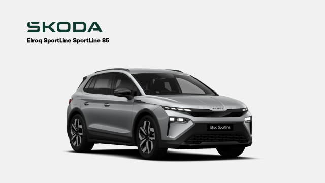 SKODA ELROQ Business Offer